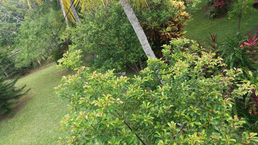 4 Seasons Guesthouse Hikkaduwa Bagian luar foto
