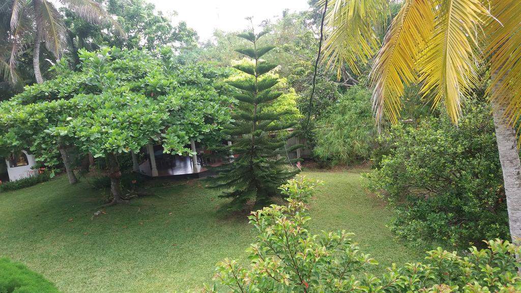 4 Seasons Guesthouse Hikkaduwa Bagian luar foto