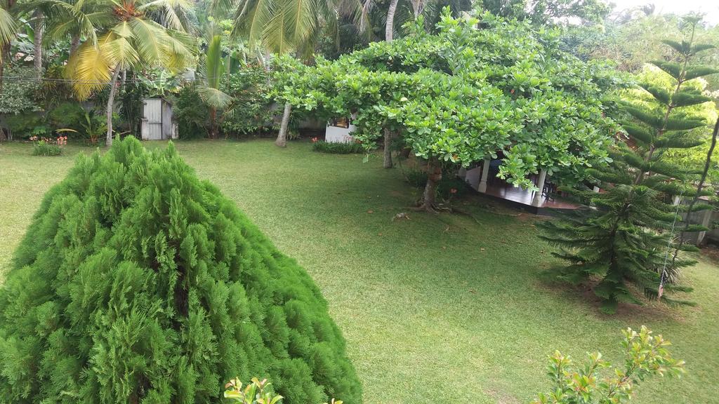 4 Seasons Guesthouse Hikkaduwa Bagian luar foto