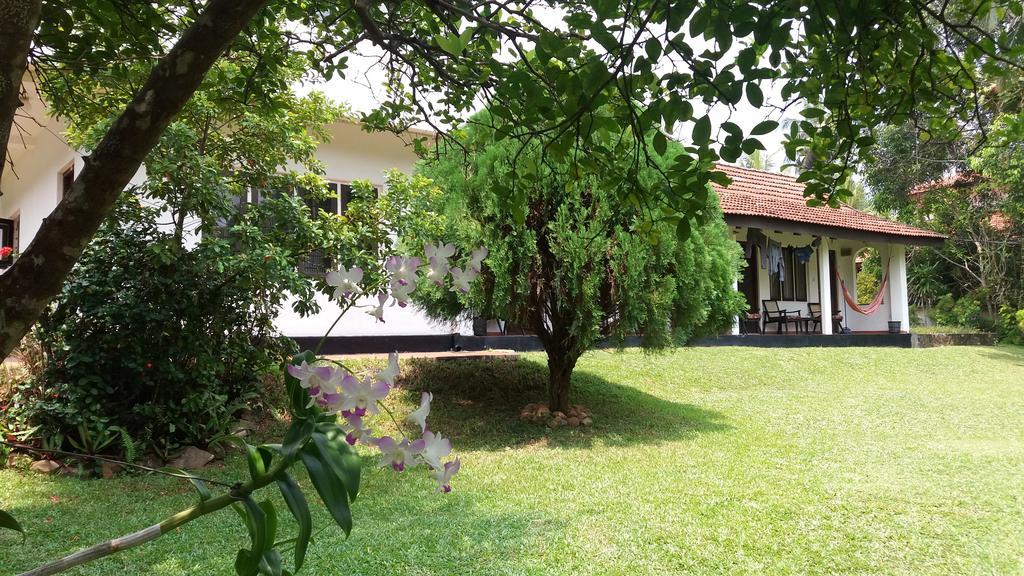 4 Seasons Guesthouse Hikkaduwa Bagian luar foto